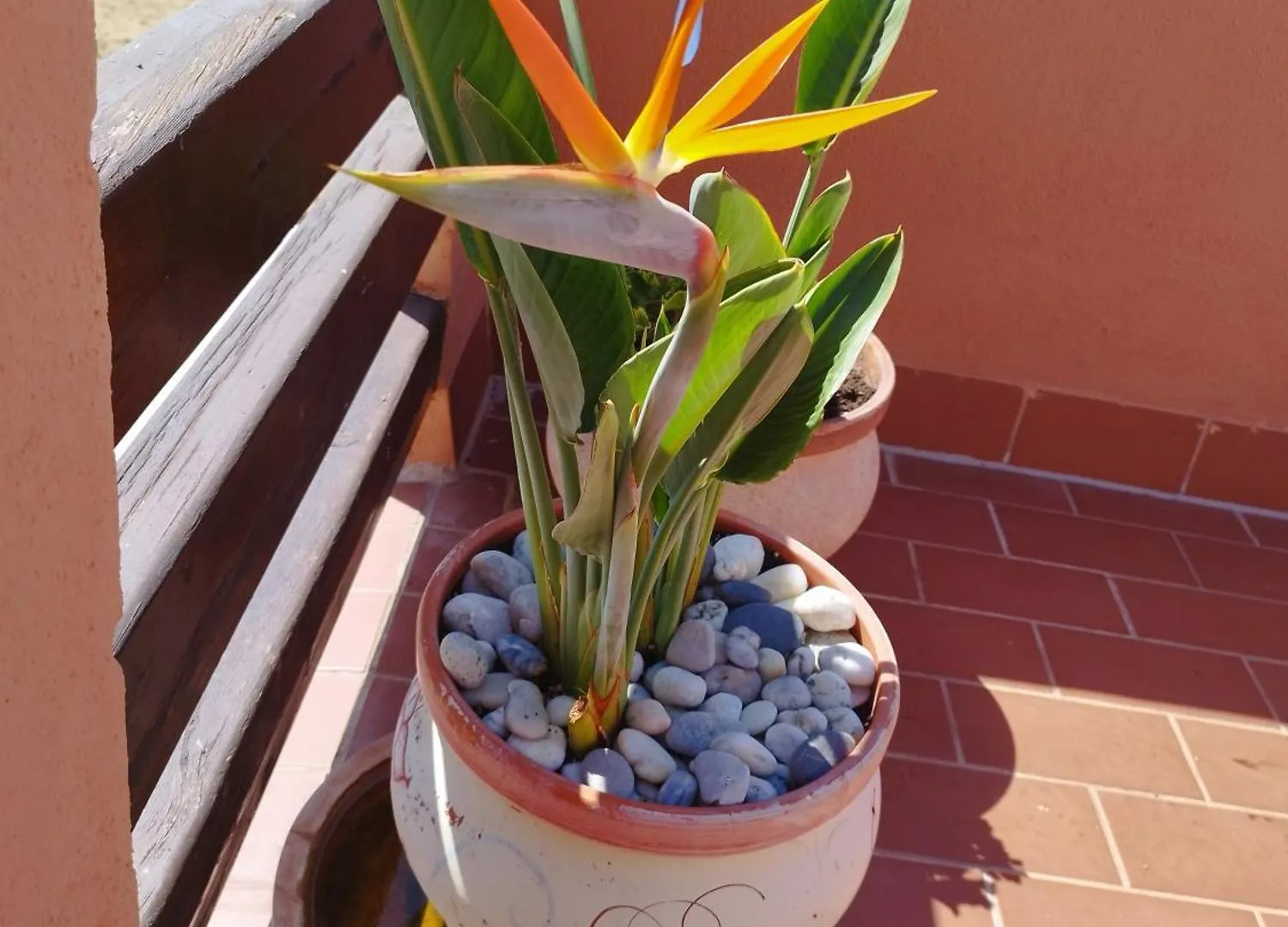 Holiday home Atico Duplex De Lujo- Casares Costa- Costa Del Sol Villa
