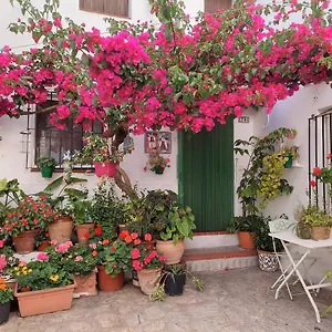 La Buganvilla De Juana Y Antonio Сasa de vacaciones